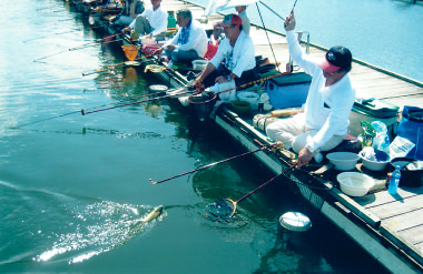 へら鮒釣り