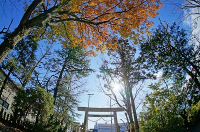 Shrine of Sunarinishi